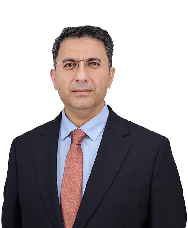 Dr. Nadeem Javaid (SI), Vice Chancellor, PIDE